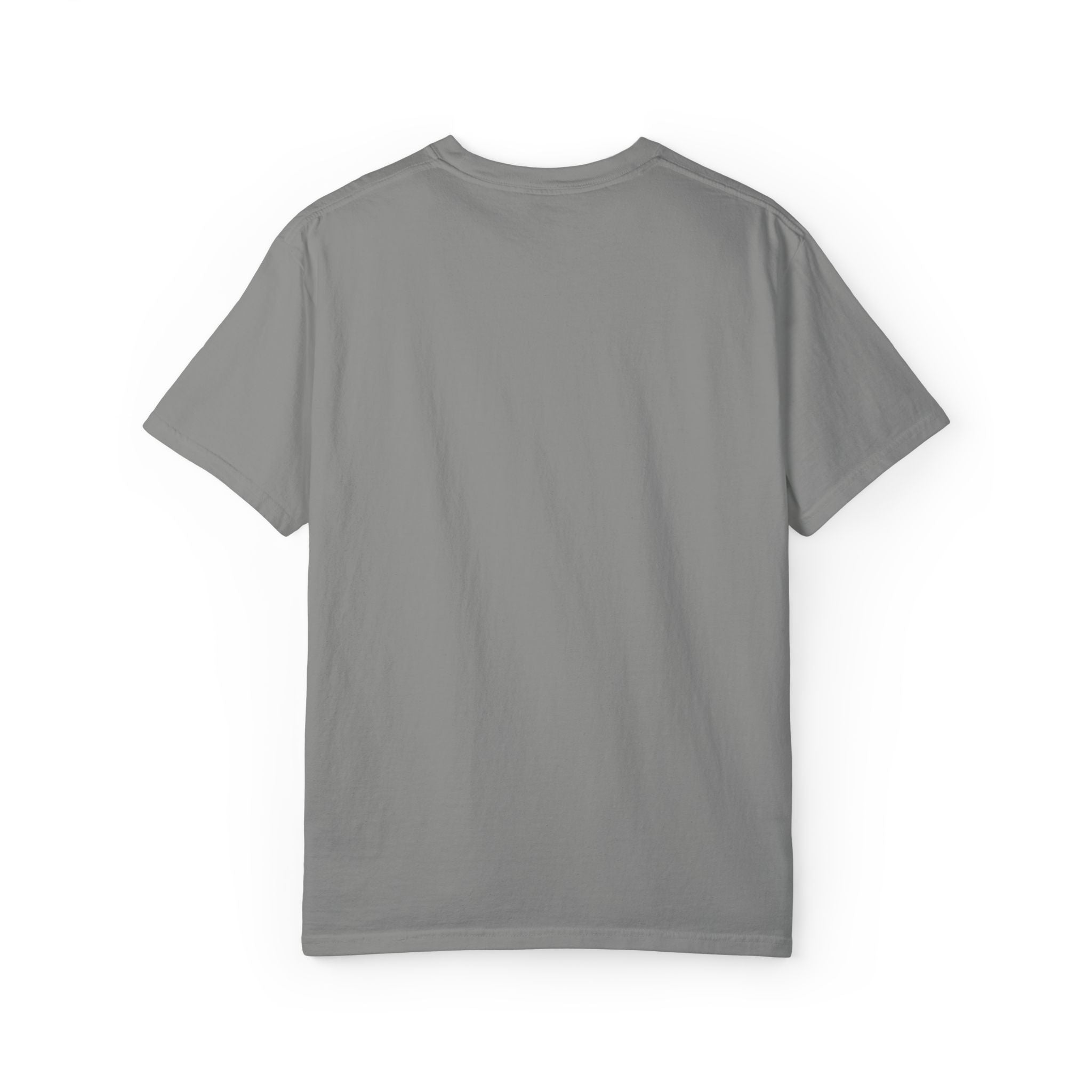 lifestyle&conscious embroderiery - t-shirt